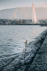 Sea by buildings in city of geneva, genf, geneve, switzerland. famous fountain in the background.