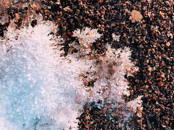 High angle view of snow on land