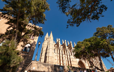 Low angle view of trees and building against sky