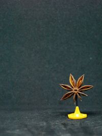 Close-up of yellow pepper on table against wall