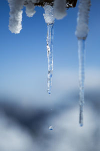 Close-up of icicles against sky during winter