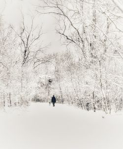 Person walking on snow covered land