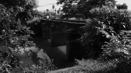 View of bridge and trees by building