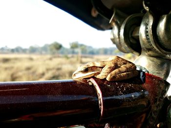 Close-up of rusty machine part on field