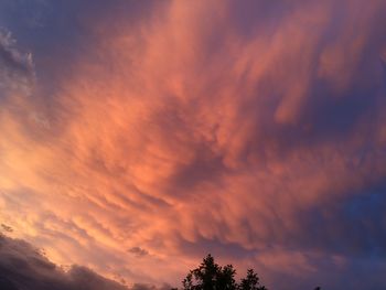 Low angle view of silhouette trees against dramatic sky