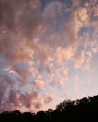 Low angle view of silhouette trees against sky during sunset