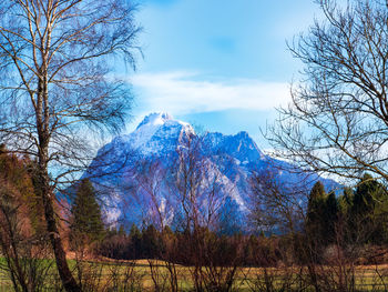 Bare trees on landscape against sky