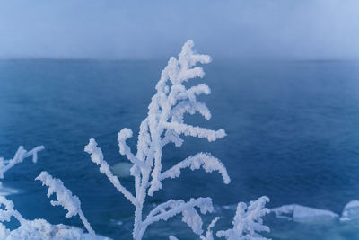 Close-up of frozen sea against sky