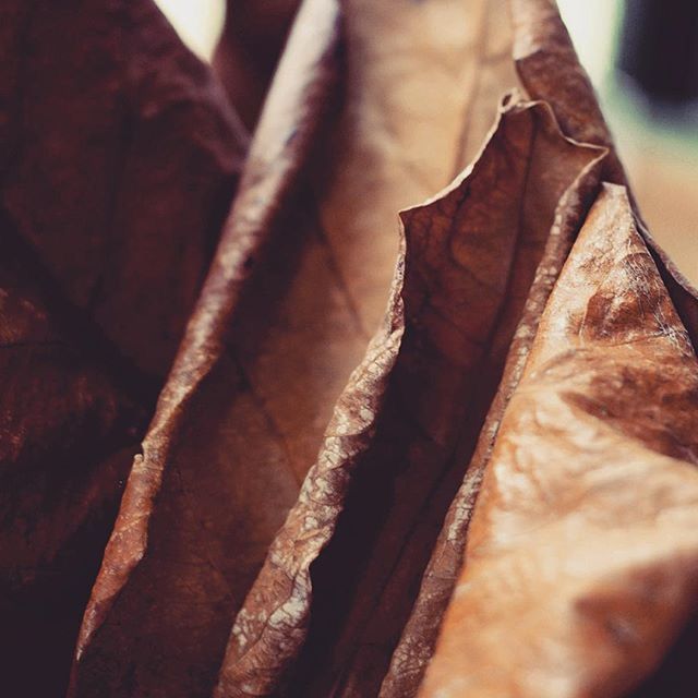 close-up, indoors, selective focus, textured, focus on foreground, full frame, backgrounds, brown, detail, pattern, no people, still life, freshness, day, textile, natural pattern, part of, food and drink, stack