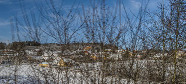 Bare trees on snow covered land against sky