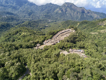 High angle view of trees on mountain