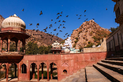 Birds flying over mountains against clear sky