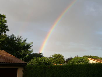 Rainbow over trees against sky