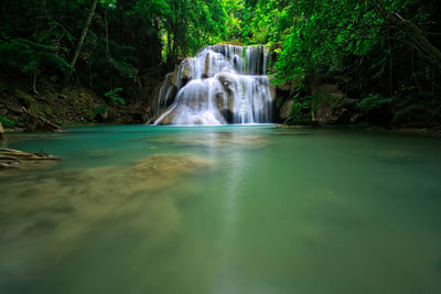 Scenic view of waterfall in forest