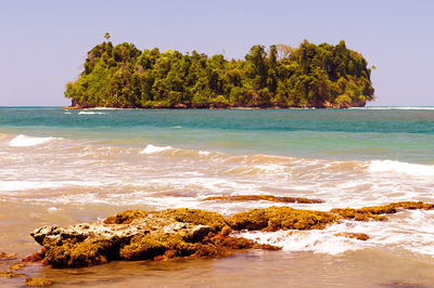 Scenic view of sea against clear sky