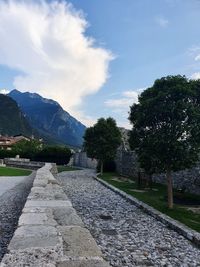 Footpath amidst trees and mountains against sky