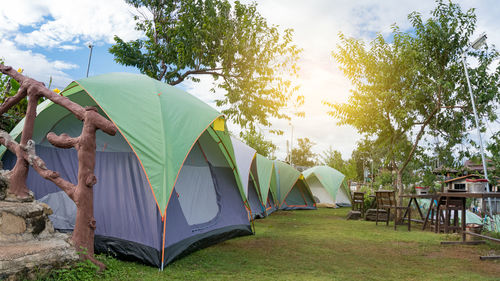 Tent on field against trees in park