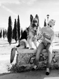 Dogs sitting on snow during winter