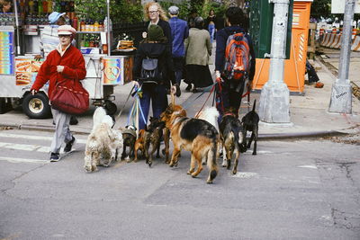 People walking on road in city