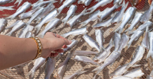 Female choosing the dried fish that is put on the net for food preservation at the seafood market,