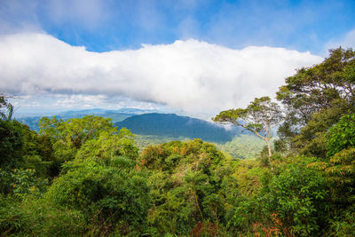 Scenic view of waterfall against sky