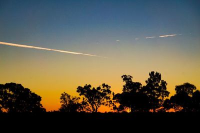 Silhouette trees against sky at sunset