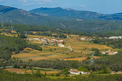 landscape
