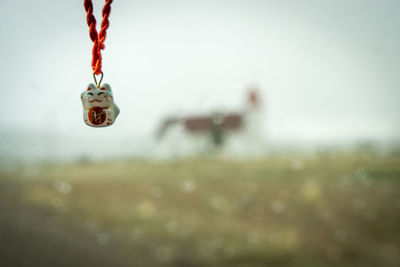 Close-up of animal necklace over field