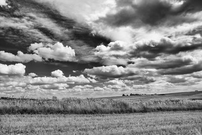 Scenic view of field against sky