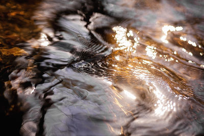 High angle view of water flowing through rocks