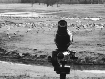 Binoculars against birds on field