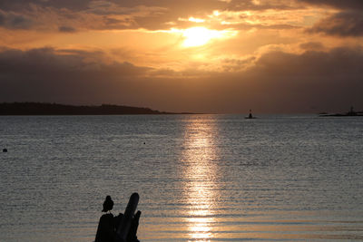 Silhouette people on sea against sky during sunset