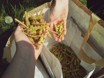 High angle view of woman holding food