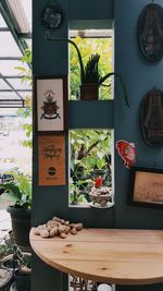 Potted plants on shelf