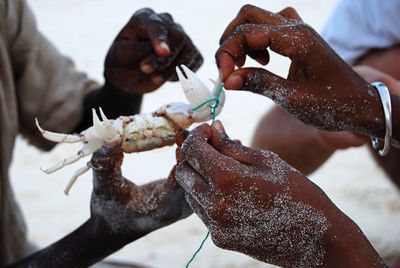Cropped hands of men tying crab claw with thread