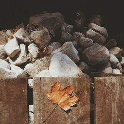 Close-up of firewood