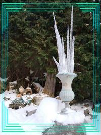 Close-up of plants and trees during winter