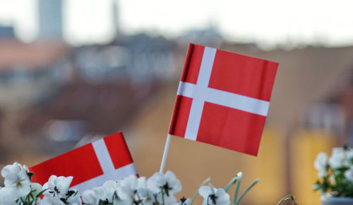 Close-up of flags against blurred background