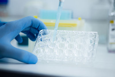 Cropped hand of scientist examining chemical