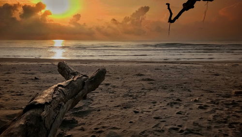 Close-up of driftwood on beach against sky during sunset