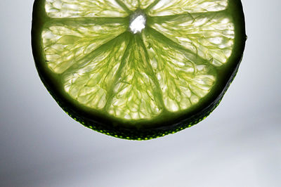 Directly above shot of lemon slice against white background