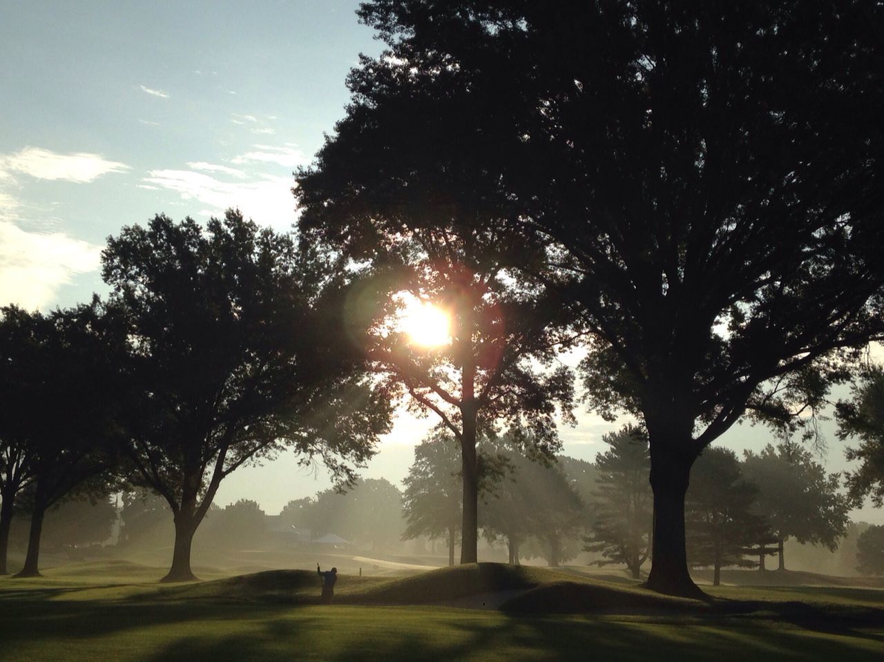 tree, sun, tranquility, sunset, tranquil scene, sunlight, silhouette, sky, beauty in nature, nature, scenics, growth, sunbeam, lens flare, tree trunk, branch, landscape, park - man made space, back lit, idyllic