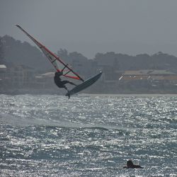 Bird flying over sea