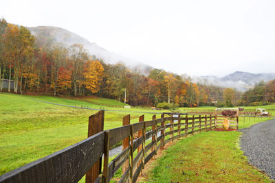 Scenic view of field against sky during autumn