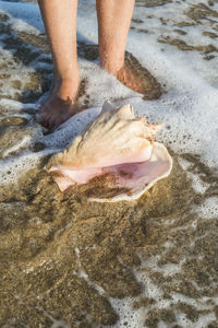 Low section of bare feet on beach