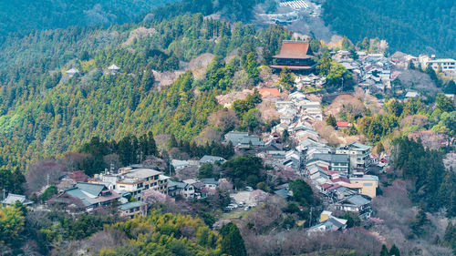 High angle view of houses and trees in city