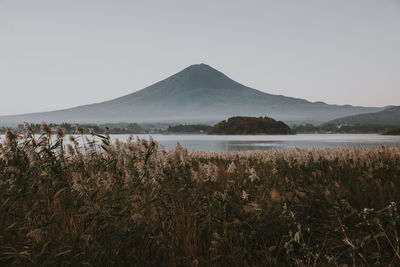 Scenic view of landscape against clear sky