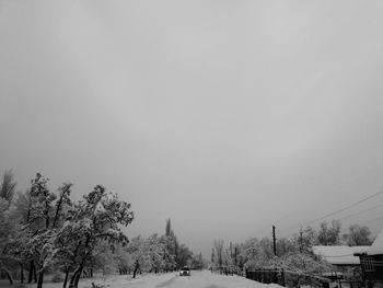 Trees on field against clear sky during winter