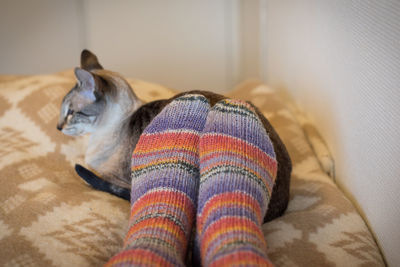 Low section of person sitting by cat on bed