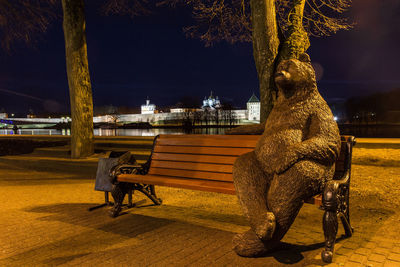 Statue on man at night